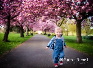 South London family photography cherry blossom child portrait Greenwich