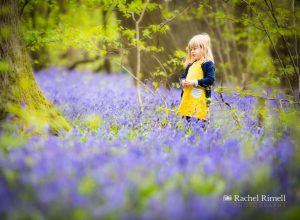 South London family photographer bluebells child portrait