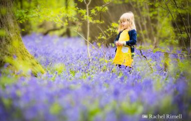 South London family photographer bluebells child portrait