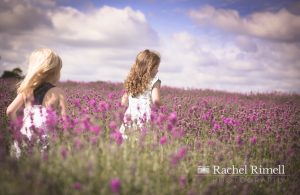 South London family photographer lavender fields child portraits